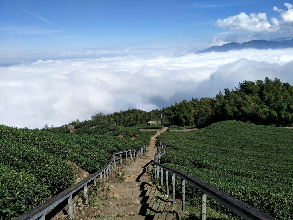 2018 11 22 挑筍古道(大尖山、後棟仔山步道)_463842