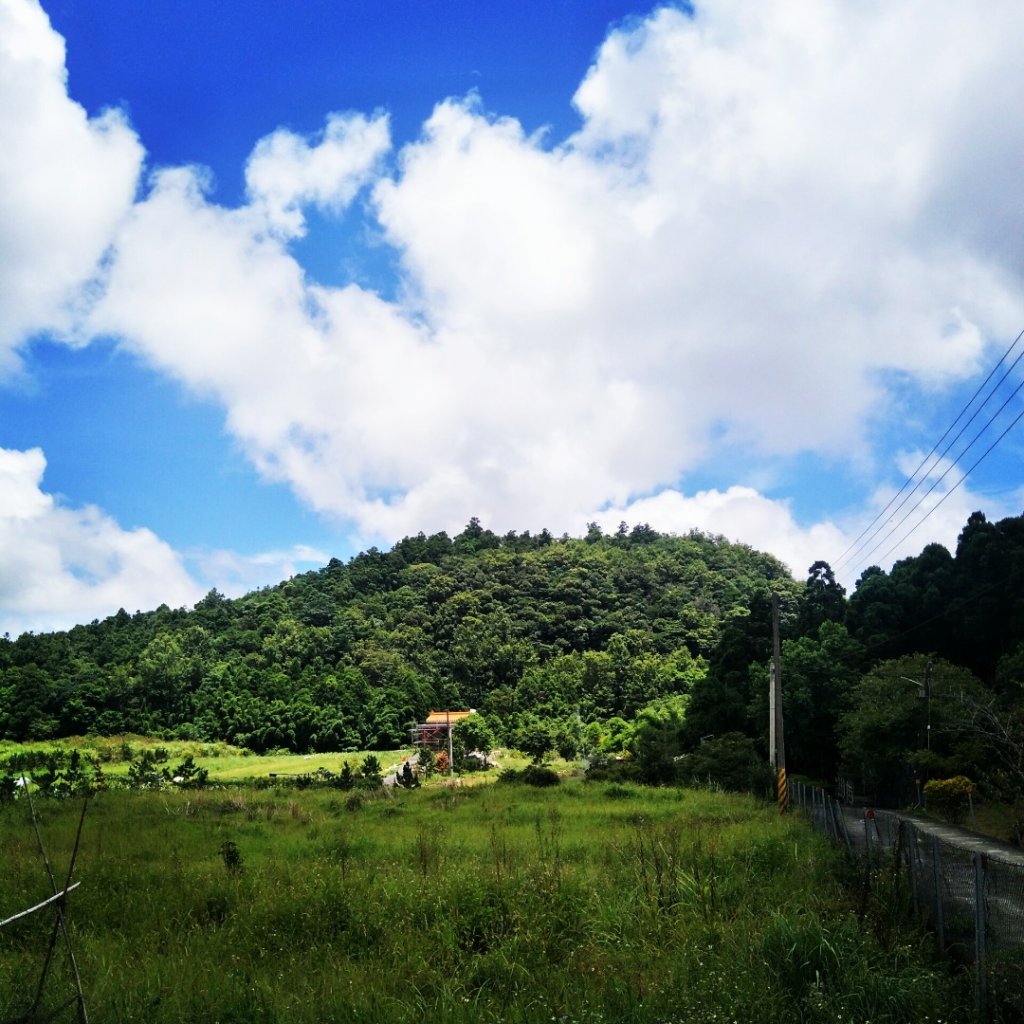 鵲子山步道_1791447