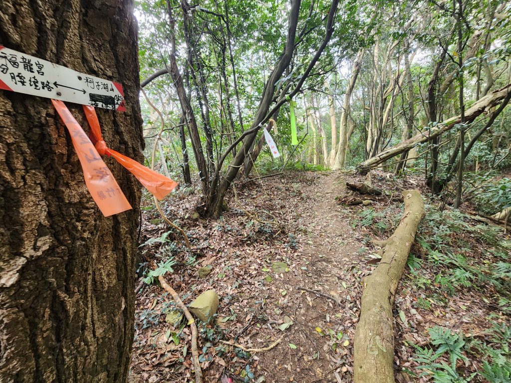 20260223柯子湖山菜堂山尖山沙湖壢山與寶山水庫基石_3012597