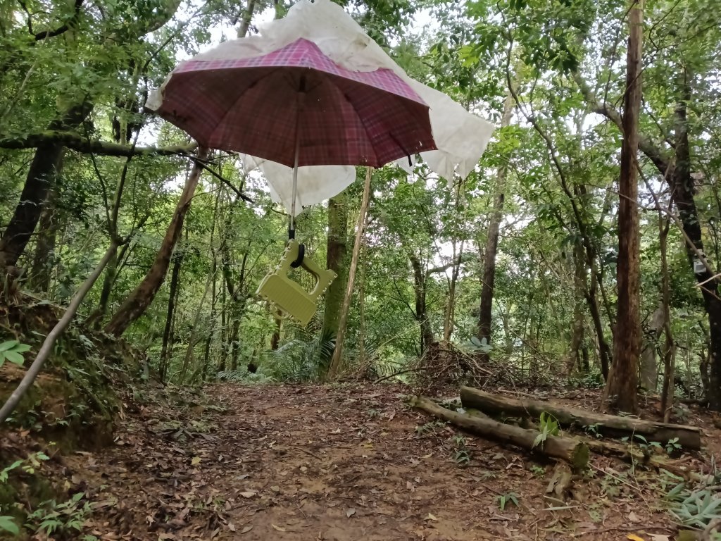 平溪區善覺寺古道(步道)去回_2855409