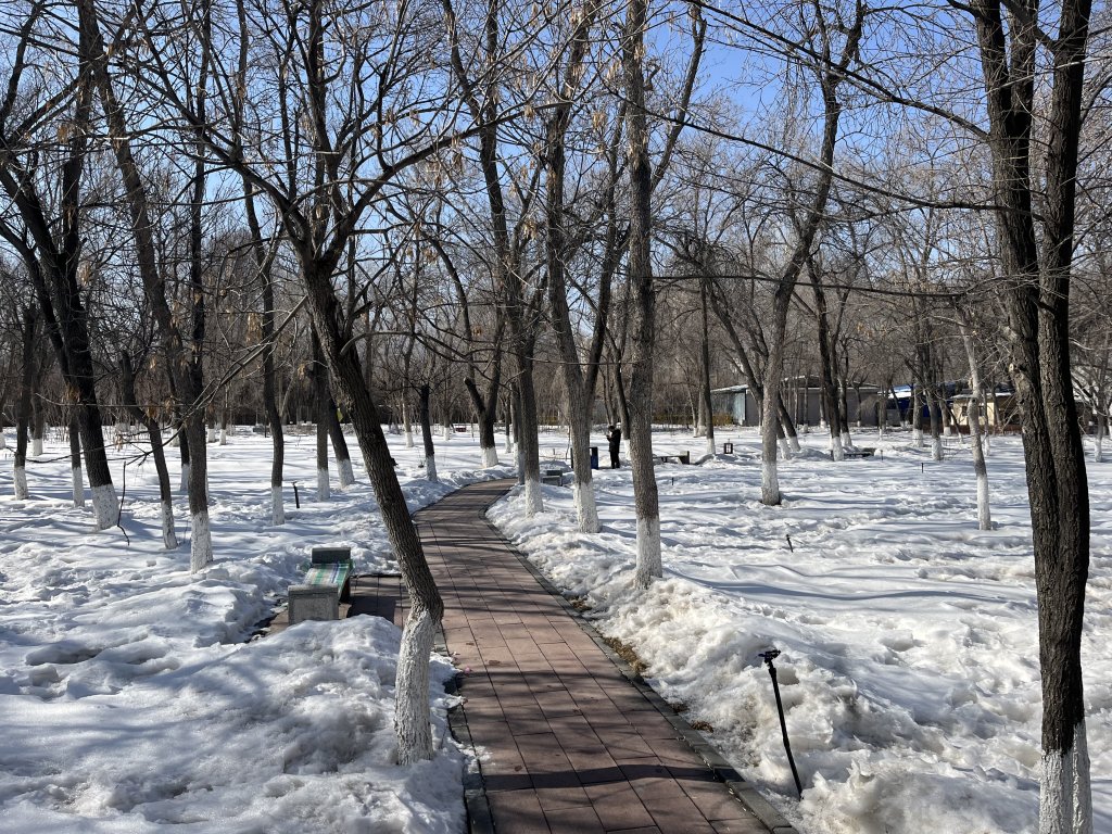 2025_0302 烏魯木齊快閃 - D3b 南公園封面圖