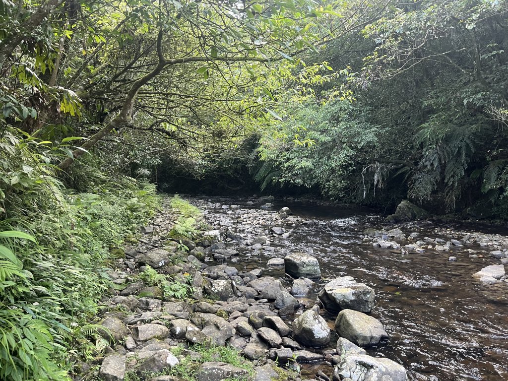 [淡蘭古道] 2024_0623 中路第五段-烏山越嶺古道_2533822