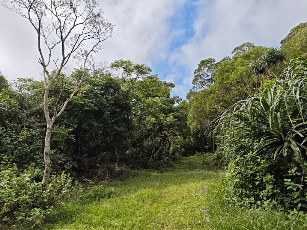 [百山百鳥尋旅-02/15] 2025_0809 社頂自然公園步道_2857019