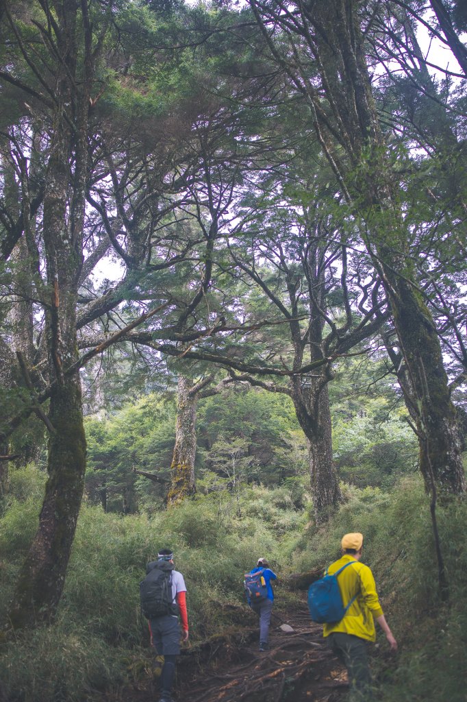 20230422-塔關山&關山嶺山_2534312