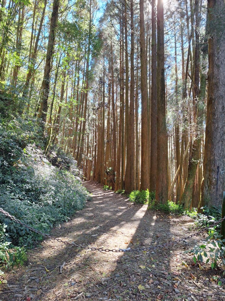 石山引水道20251211_2959525