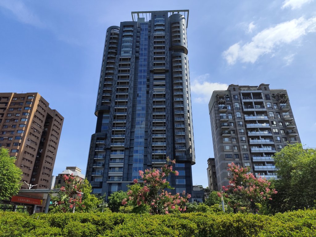 大安森林公園、大港墘公園【走路趣尋寶】【臺北健走趣】_2548548
