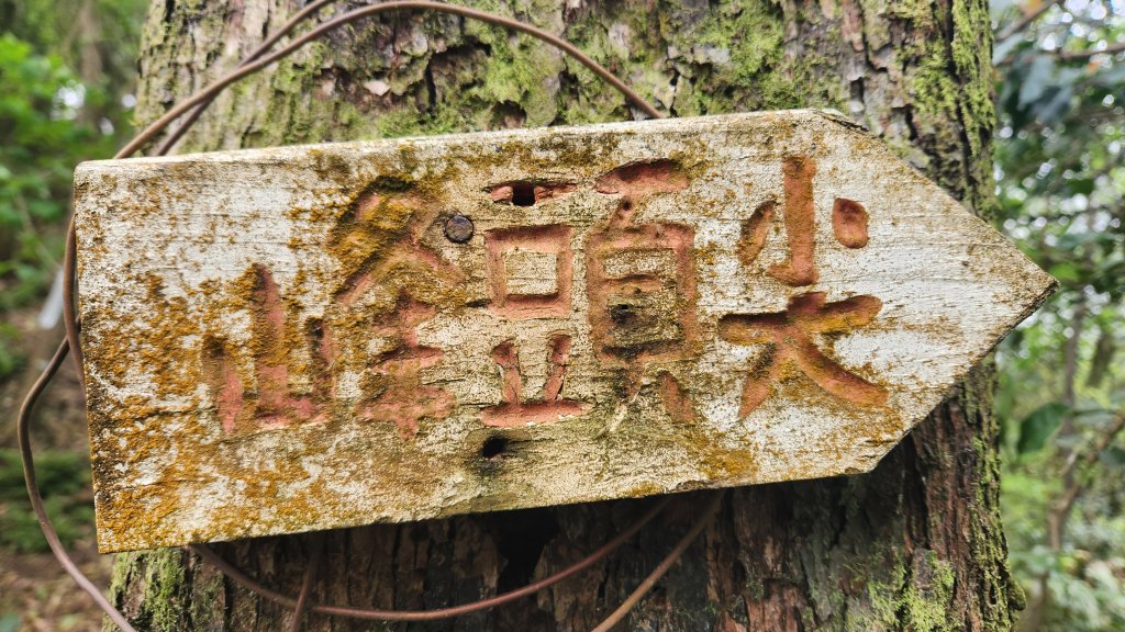 峰頭尖~峰頭尖東峰_2761348