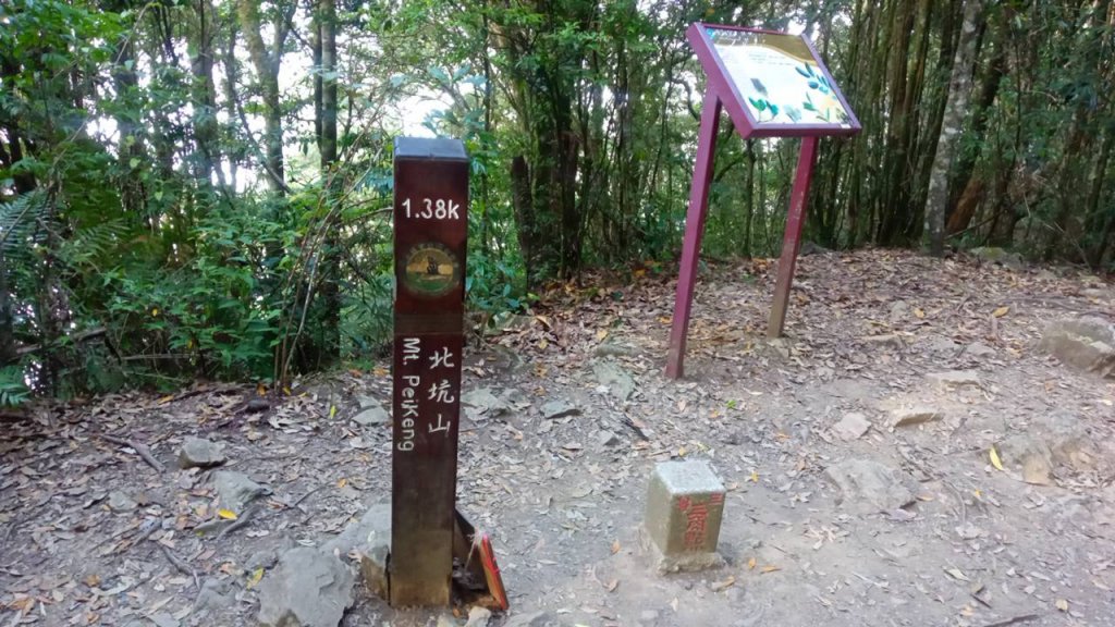 20221119 苗栗泰安雪見遊憩區 北坑山走走_1919796