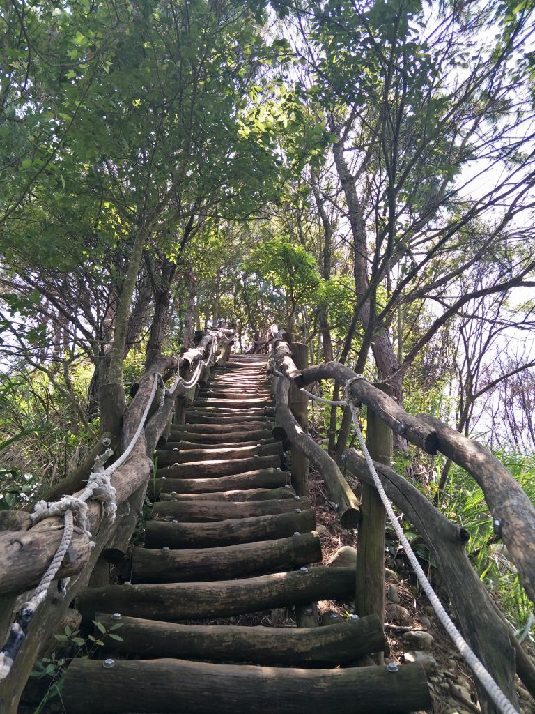 大坑4號步道&頭嵙山_374911