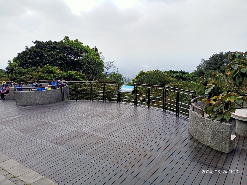 【發現陽明山】頂北投→陽峰古道→陽明山花鐘→陽明書屋→紫明溪步道→竹子湖海芋季_2463814