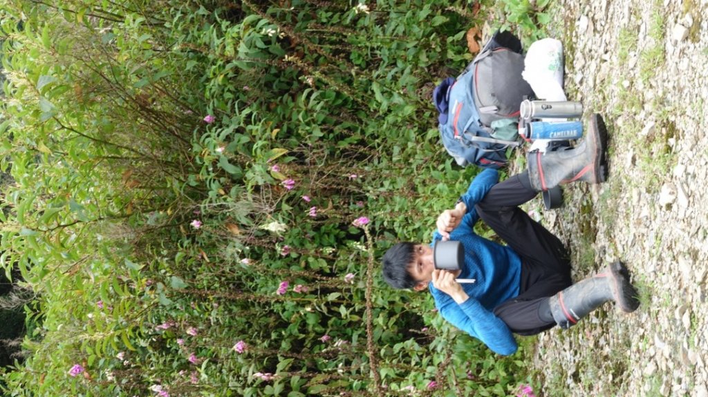 雙龍林道上巒安堂西巒大山_1778874