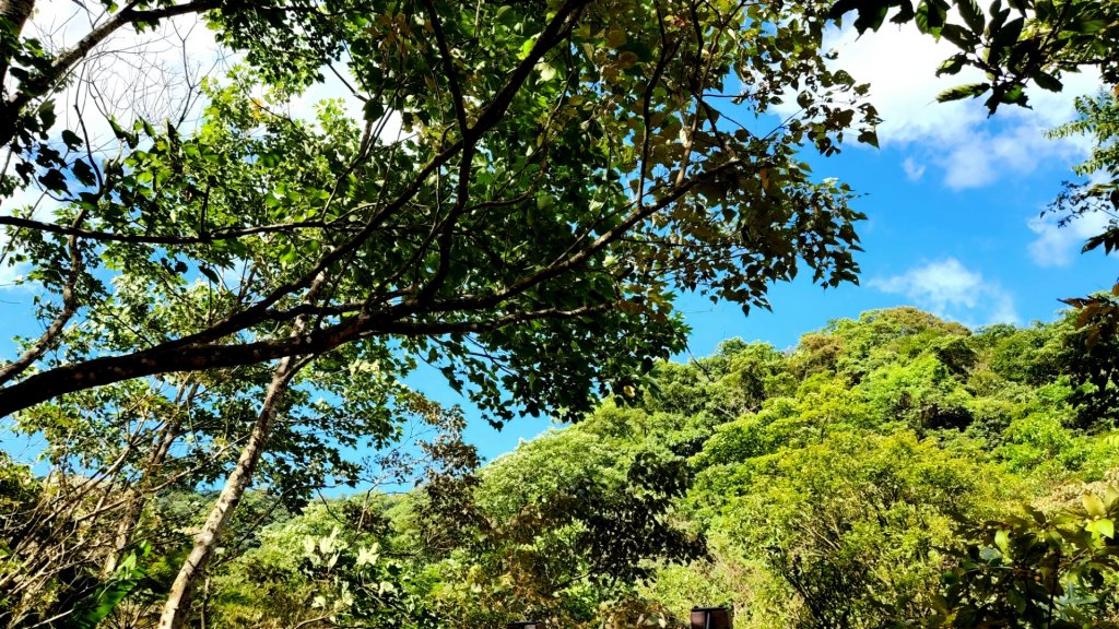 三貂嶺瀑布群步道，土虱頭景觀平台，永安景觀步道，石笋古道，廣興河濱公園，項羽灘_1791790