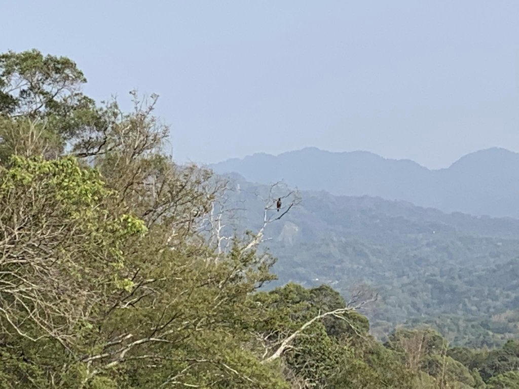 台中潭子區大胡山與聚興山隨意走（小百岳）_2116684