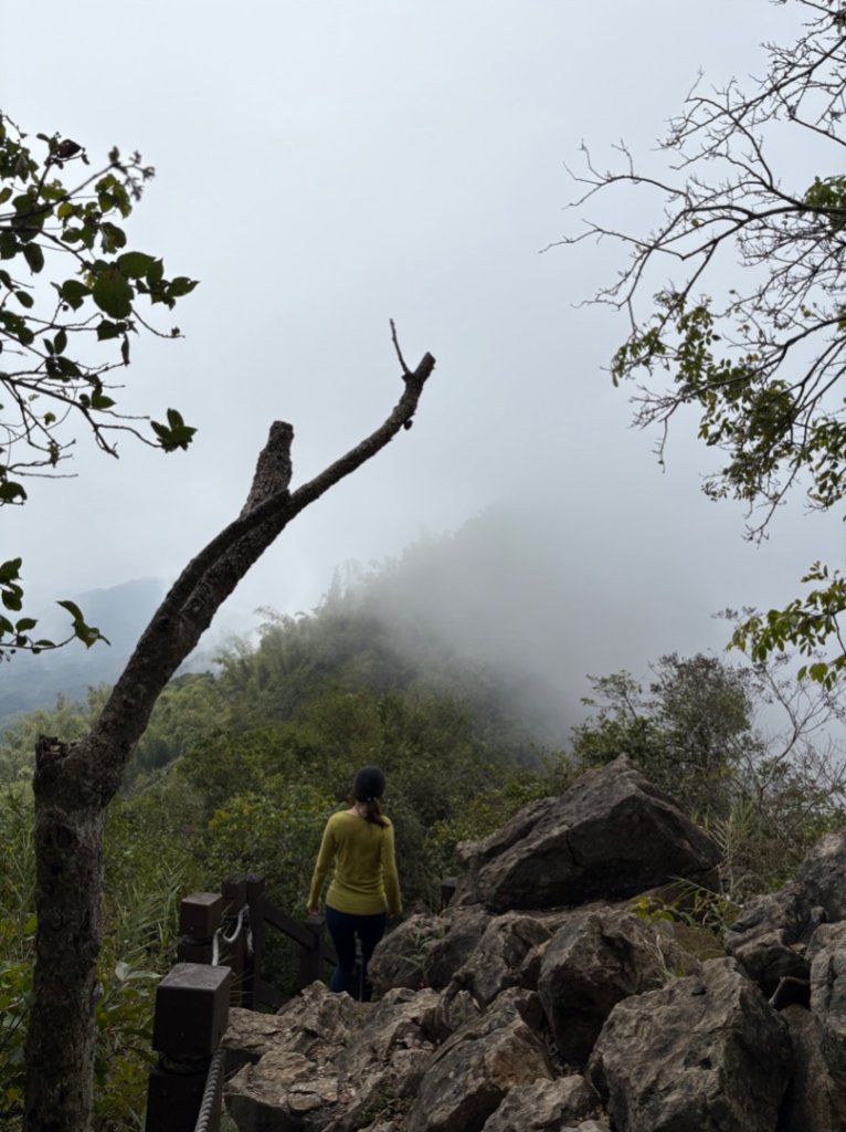 龍麟山步道（王爺崙封面圖
