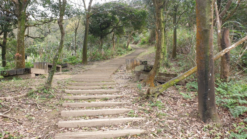 大尖山四分尾山_1067341