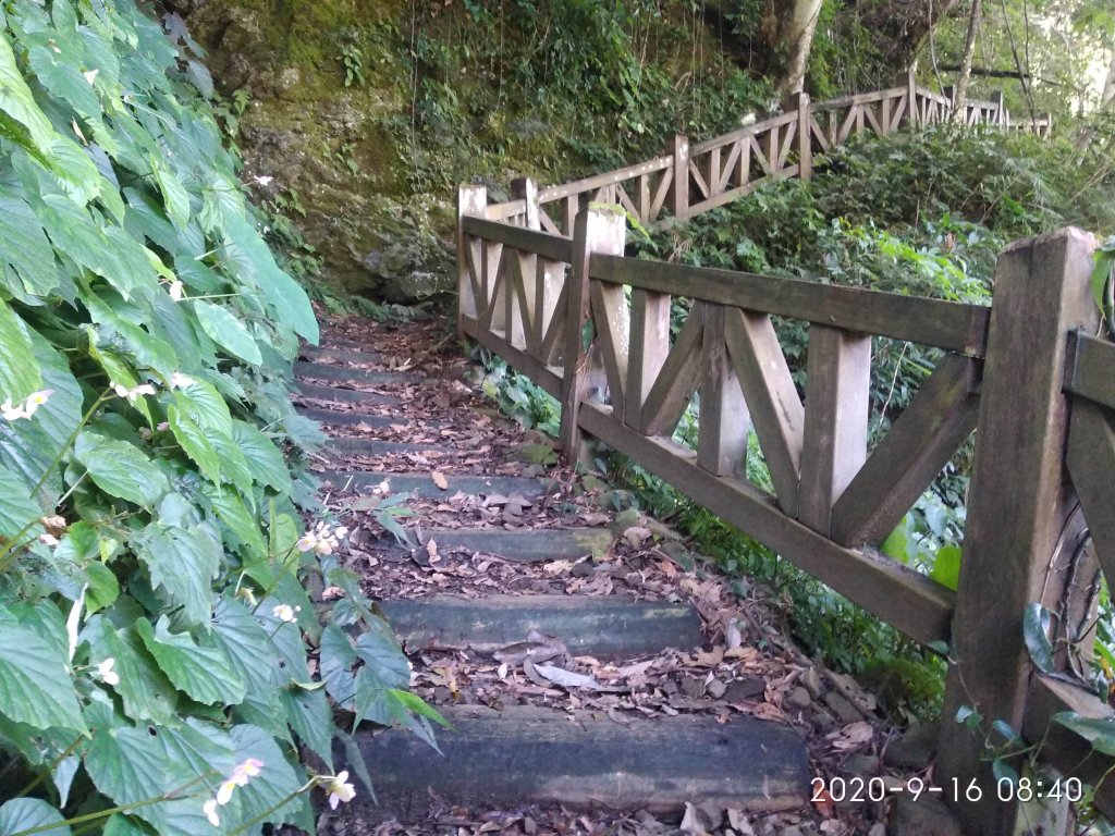 步道巡訪員 l 石夢谷步道8月巡訪日誌_1102398