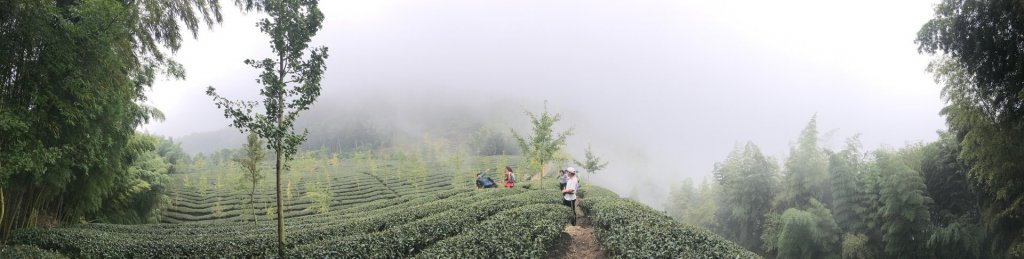 竹崙.志騰.樟空崙5連走_439722