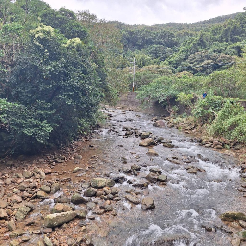 【2025草嶺古道芒花季】完成!_2929457