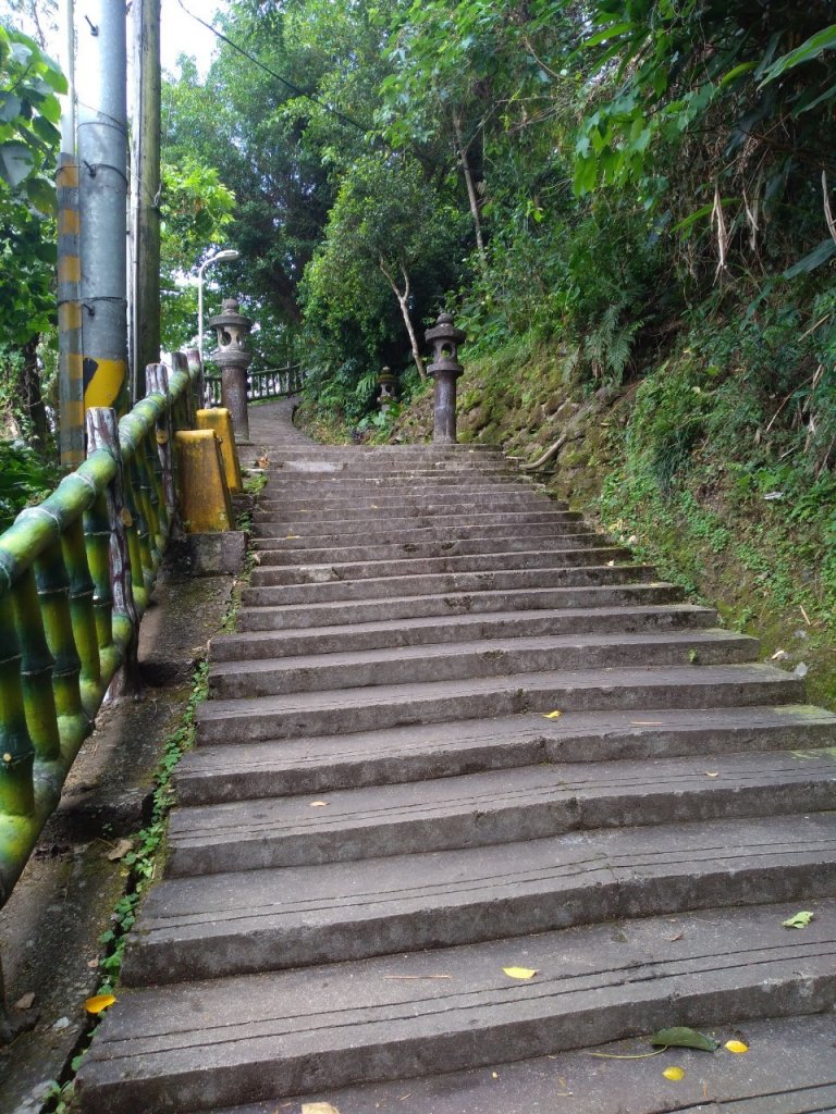 仙跡岩_953162