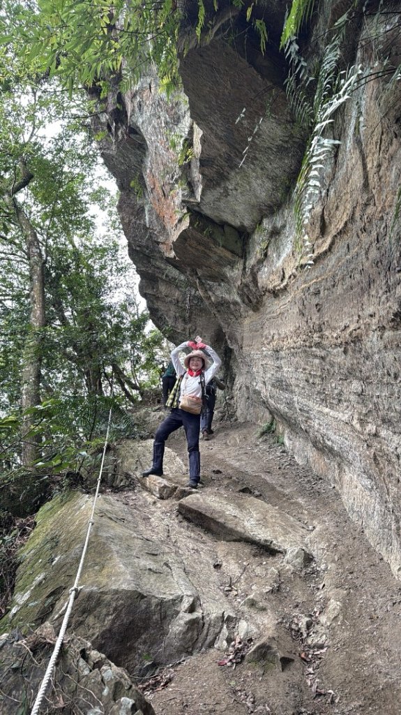 20260112月扇湖山&四分子古道O走+烏塗溪步道_2986653