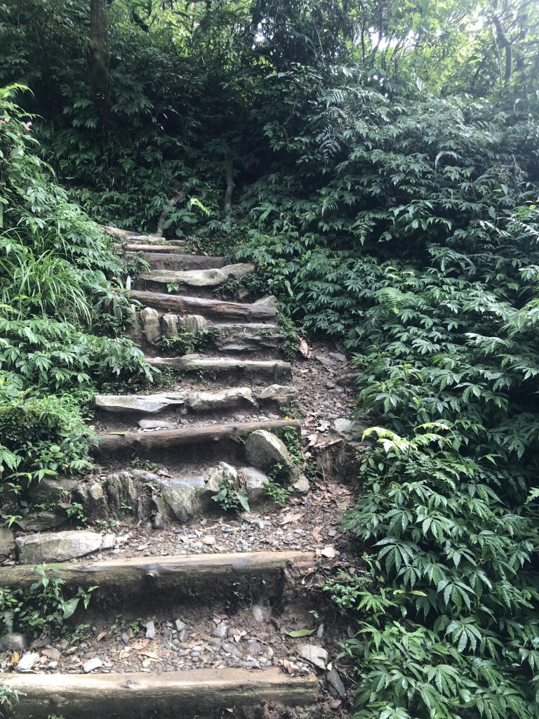 【宜蘭礁溪】抹茶山~超消暑聖母登山步道_640584