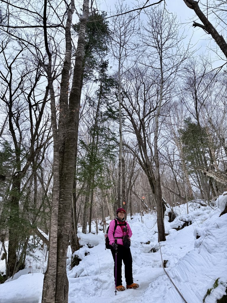 羊草山穿越（雪谷至雪鄉） 2025.12.19_2976249