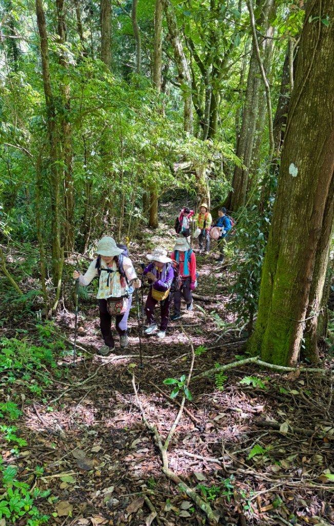 瞭望台-瓊山-望美山-獵人古道_2887715