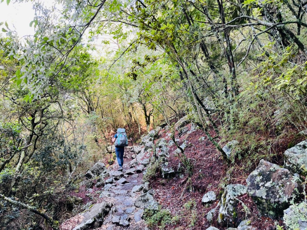 1110703-5大小霸尖山06雪霸農場_1755129