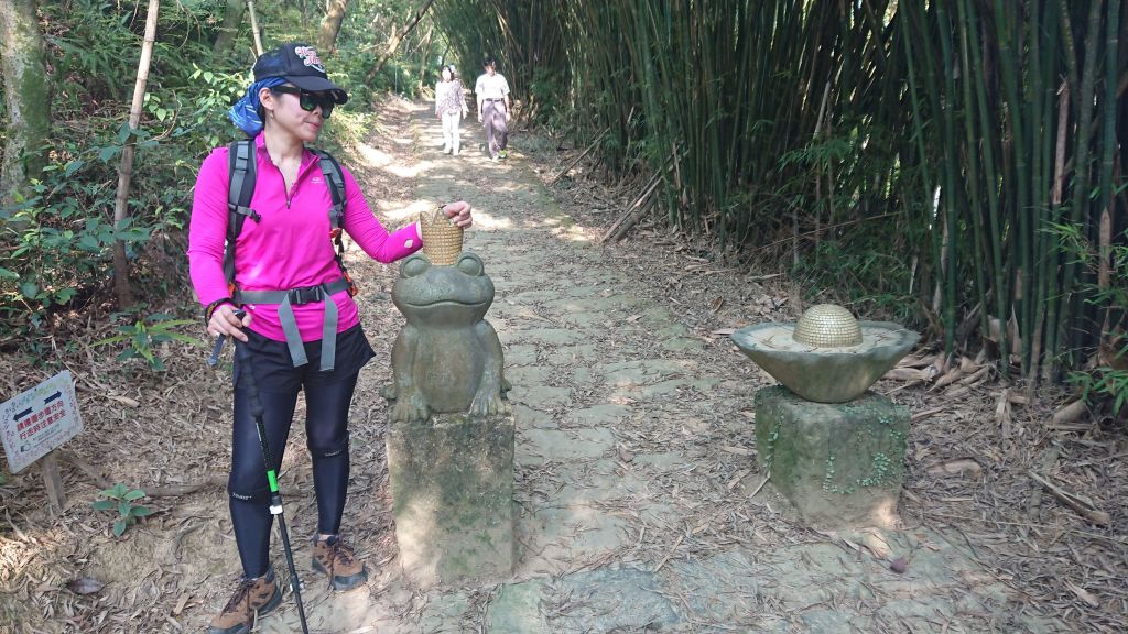 1070401高速攻頂（大崙頭山）_303077