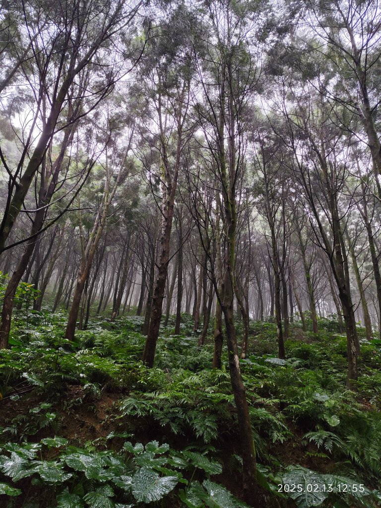 台北國軍英雄館→宜蘭縣員山鄉燈篙林道→礁溪郷潭酵天地觀光工廠→冬山鄉田老爺餐廳_2712079