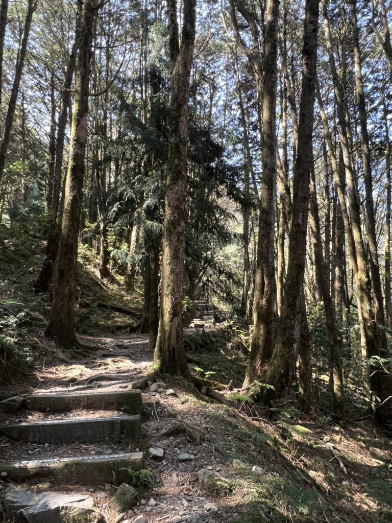 小百岳-稍來山_2752445