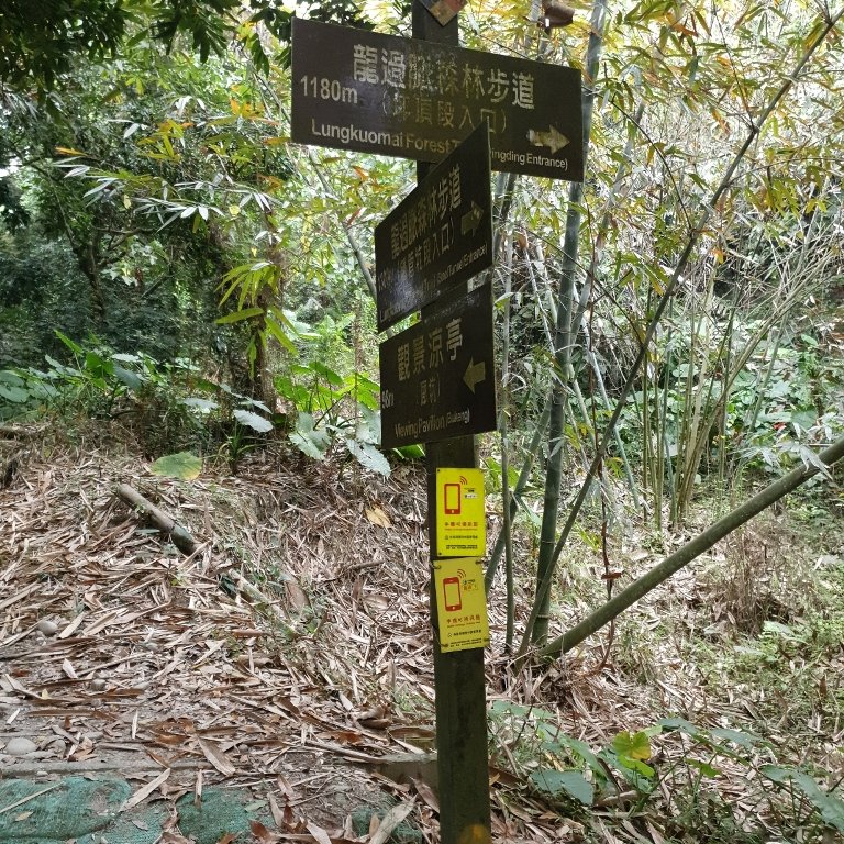 步道巡訪員│龍過脈步道3月巡訪日誌_872321