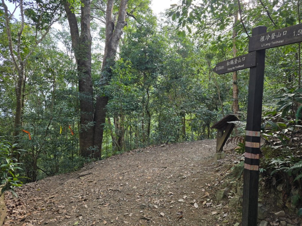 蝶夢八唐（裡冷登山口往返）八仙山出雲海下山順賞富士櫻_2722686