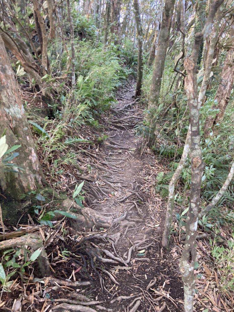 [新竹] 北得拉曼 內鳥嘴山_1982811