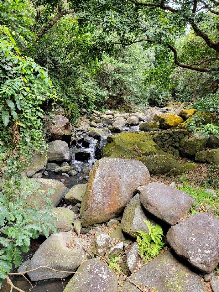 小健行 (湖底聚落-惇敘工商）- 20240228封面圖