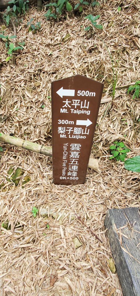 2024-05-18梨子腳山步道_2507938