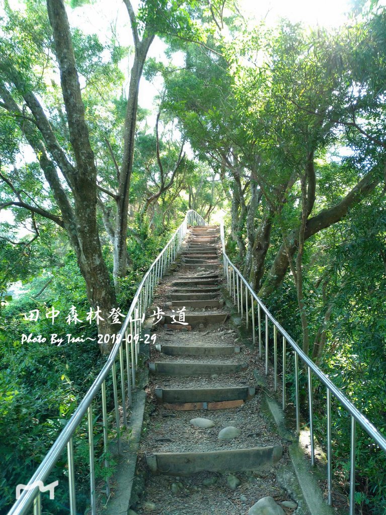 田中森林公園登山步道20180929_455519