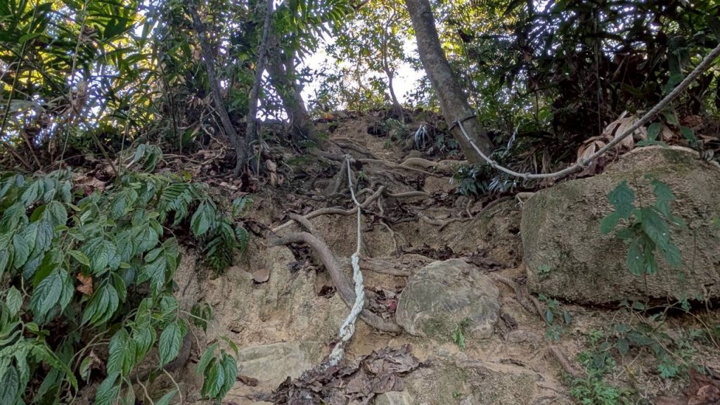 大橫屏山步道_2977353