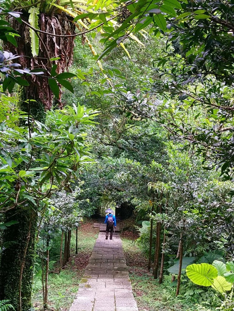 薯榔尖山、石筍尖山O走_656805