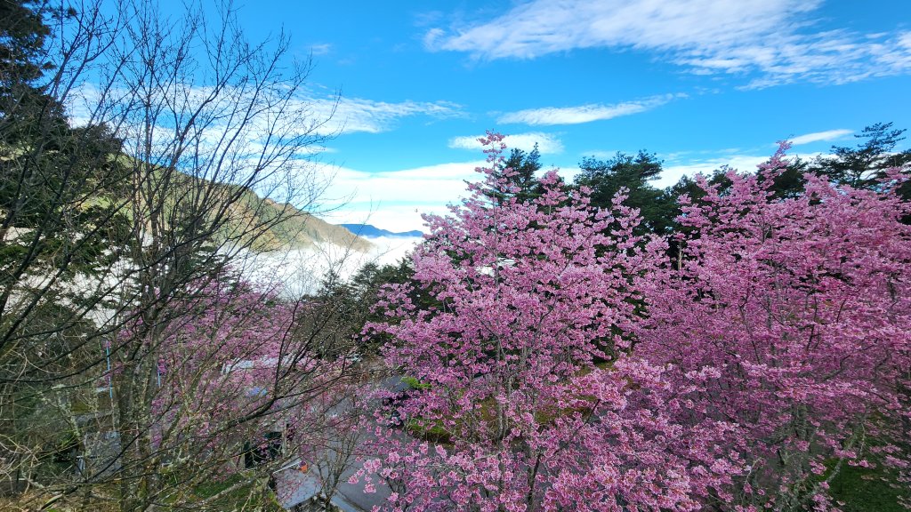 戒茂斯上嘉明湖 2/28-3/2/2025_2728753