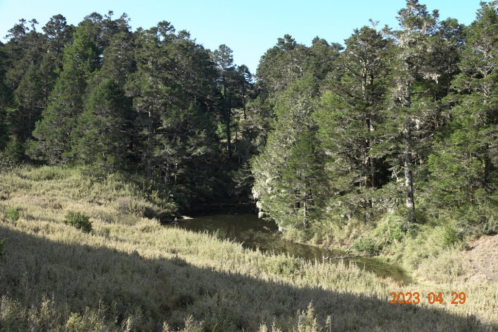 南投 仁愛 武法奈尾山_2133783