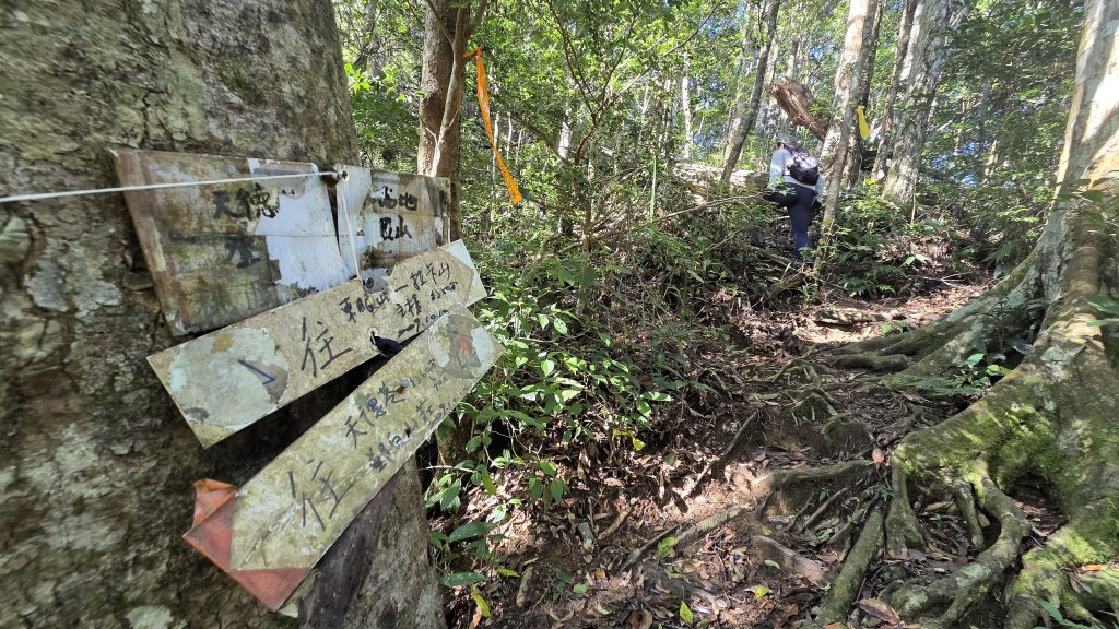 東北季風起遊走雲瀑和山毛櫸間的啦卡山與北插天山登山行_2951096