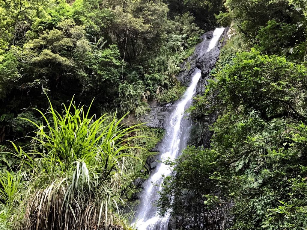 聖母登山步道上三角崙山_381320