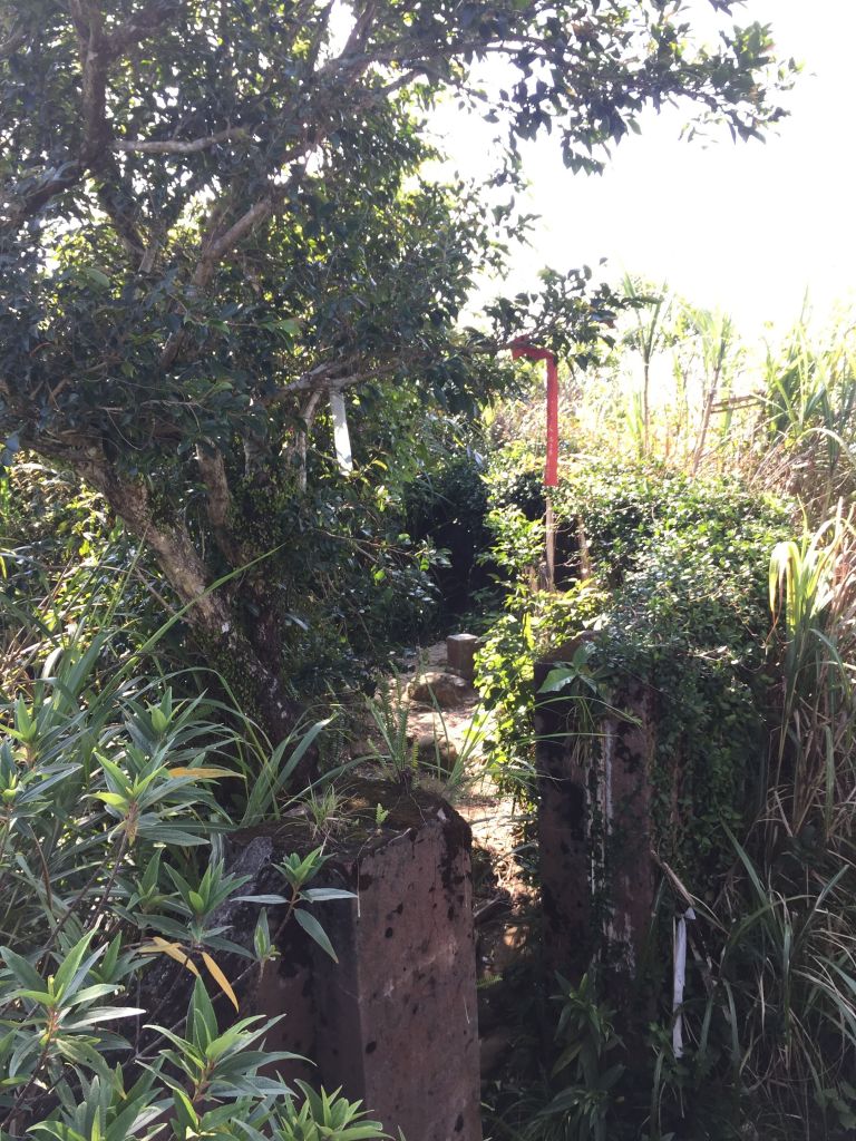 台灣小百岳#017-二格山_374512