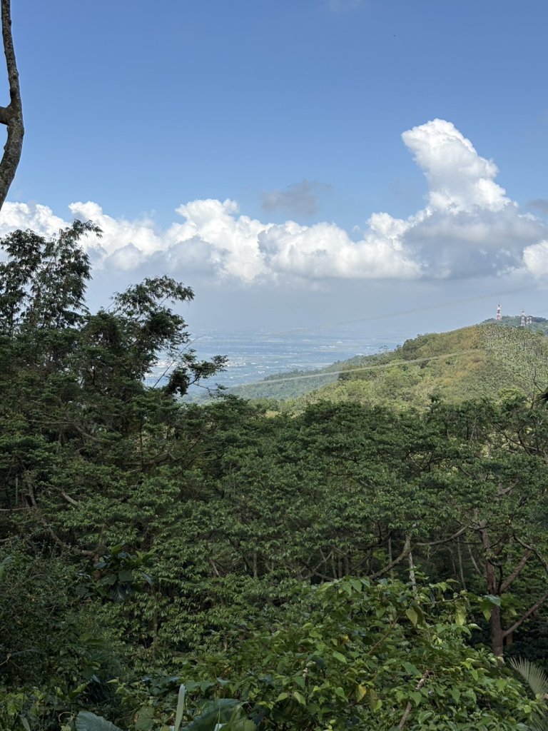20250830台南關仔嶺大凍山步道_2914687