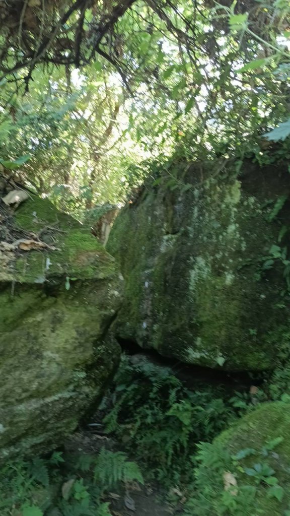 20251004 馬那邦山 - 珠湖 登山口_2904877
