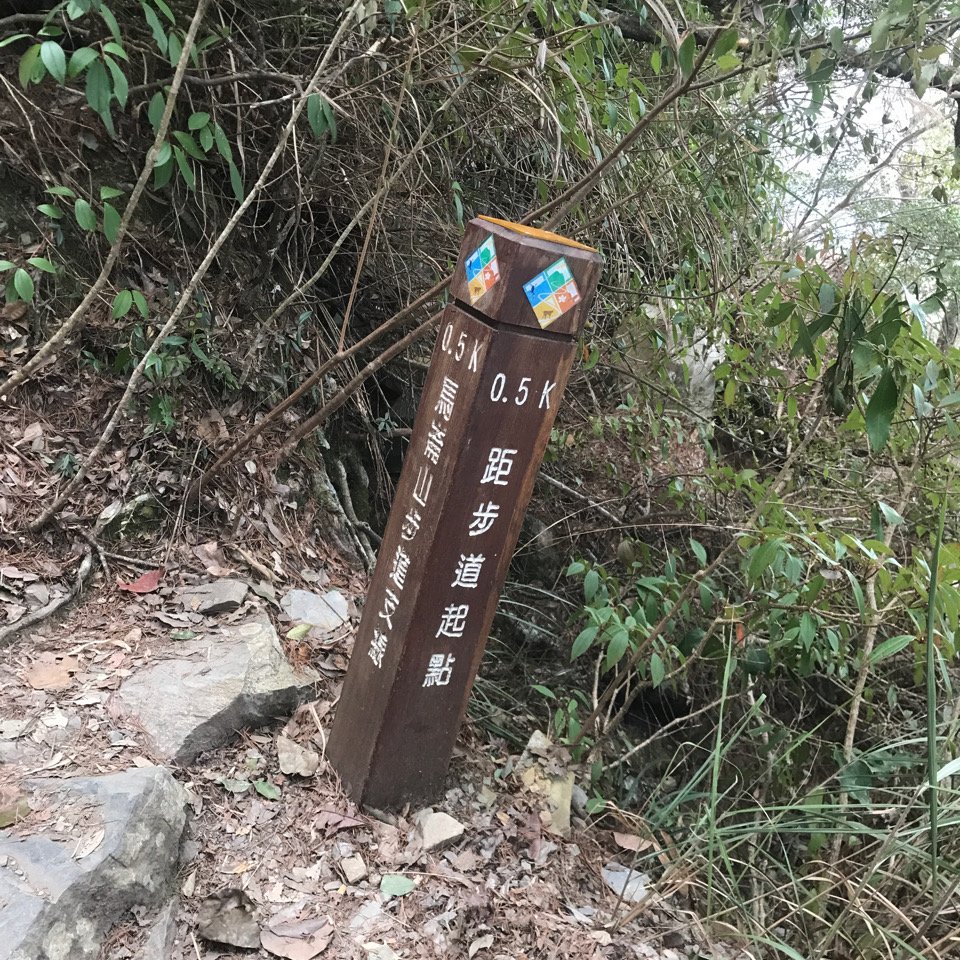谷關七雄 馬崙山（老二）2023.03.04_2051348