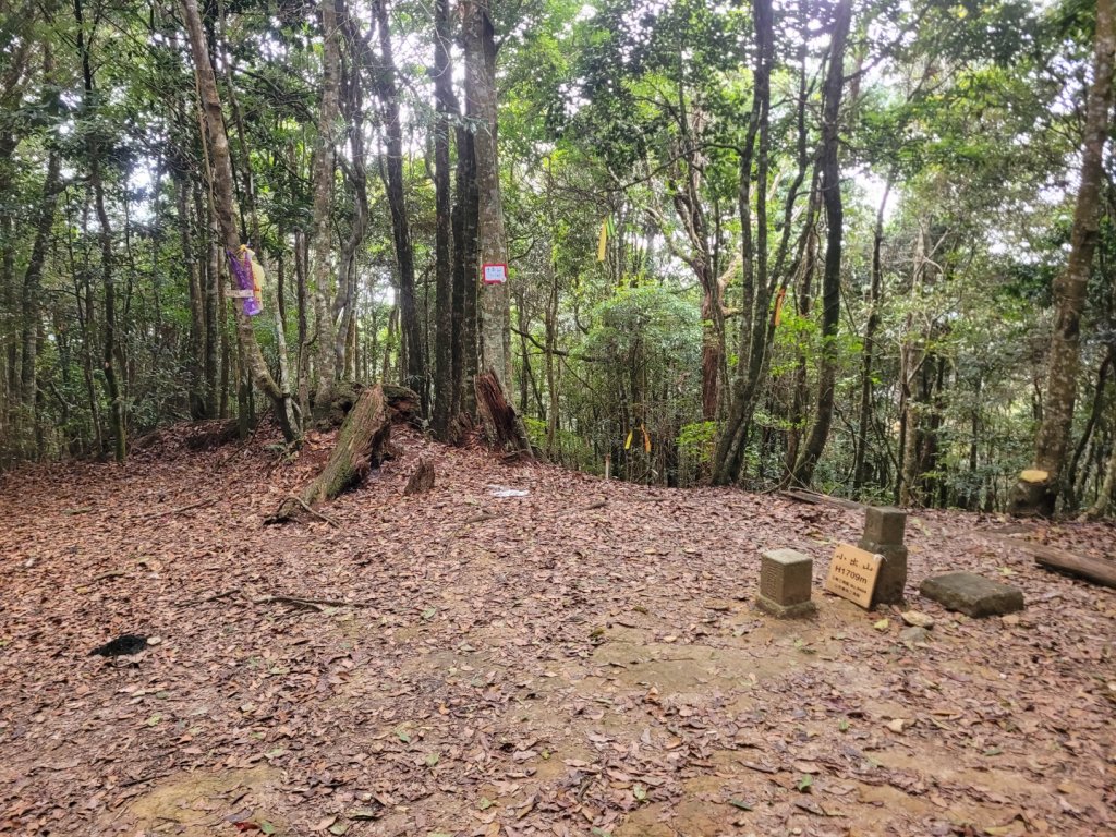 我音山 小出山 出惠蓀林場_2026532