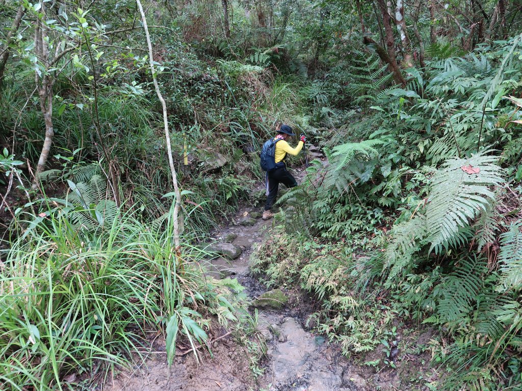 八里灣山_2615247