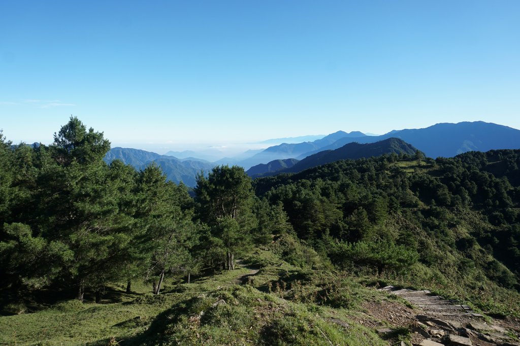 被取消的玉山前五峰 麟趾鹿林散散步_740778